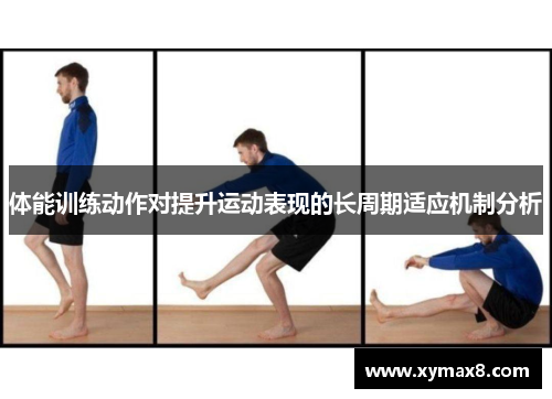 体能训练动作对提升运动表现的长周期适应机制分析
