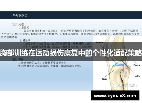 胸部训练在运动损伤康复中的个性化适配策略